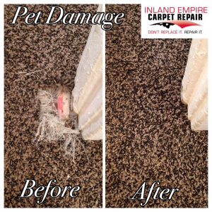 carpet repairs